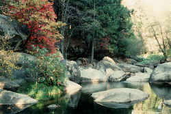 South Fork American in the Fall