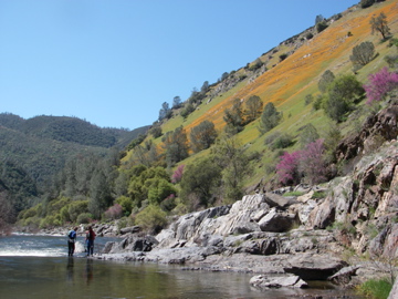 Lunch on the Merced River