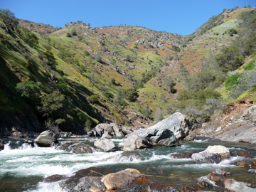 Poppies fill in the hillsides of the Clavey River