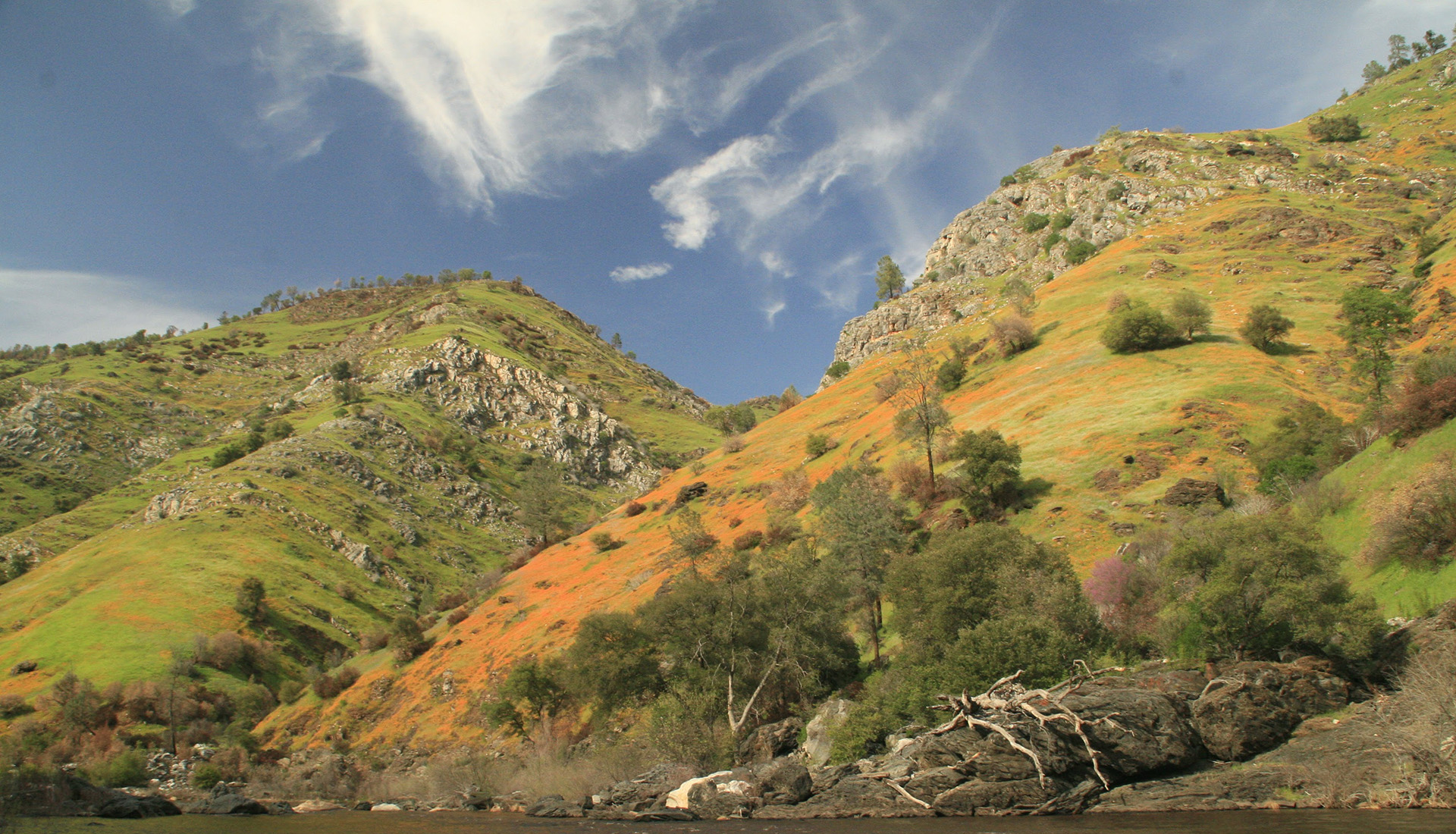 Poppy Hill on the South Fork American