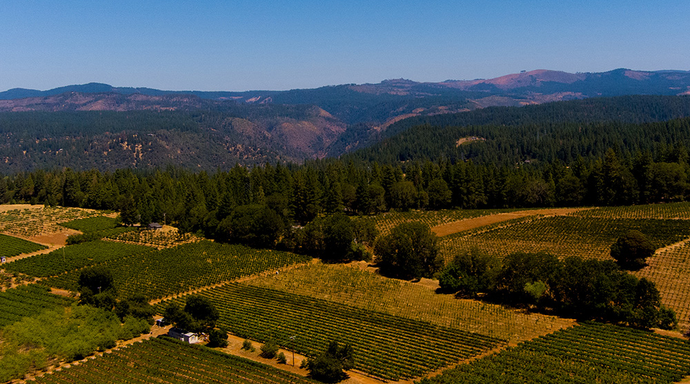 Views of the Sierra foothills from Apple Hill.