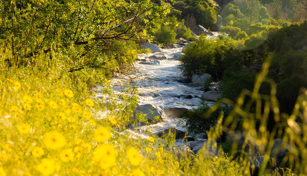 The Kaweah River