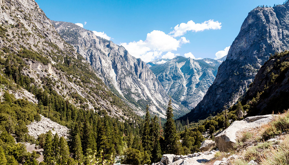 Kings Canyon / Sequoia National Park